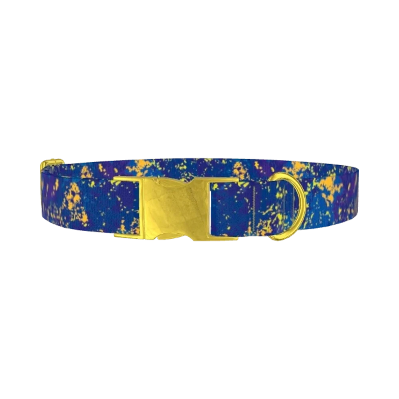 Abstract Blue Paint Dog Collar - metal gold