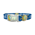 Conch Republic Star Dog Collar - plastic silver