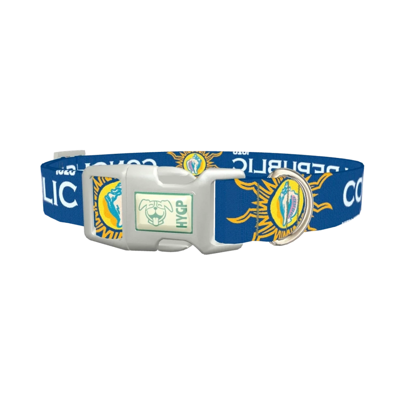 Conch Republic Star Dog Collar - plastic silver