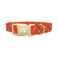 Festive Bows and Candy Canes Dog Collar - plastic gold