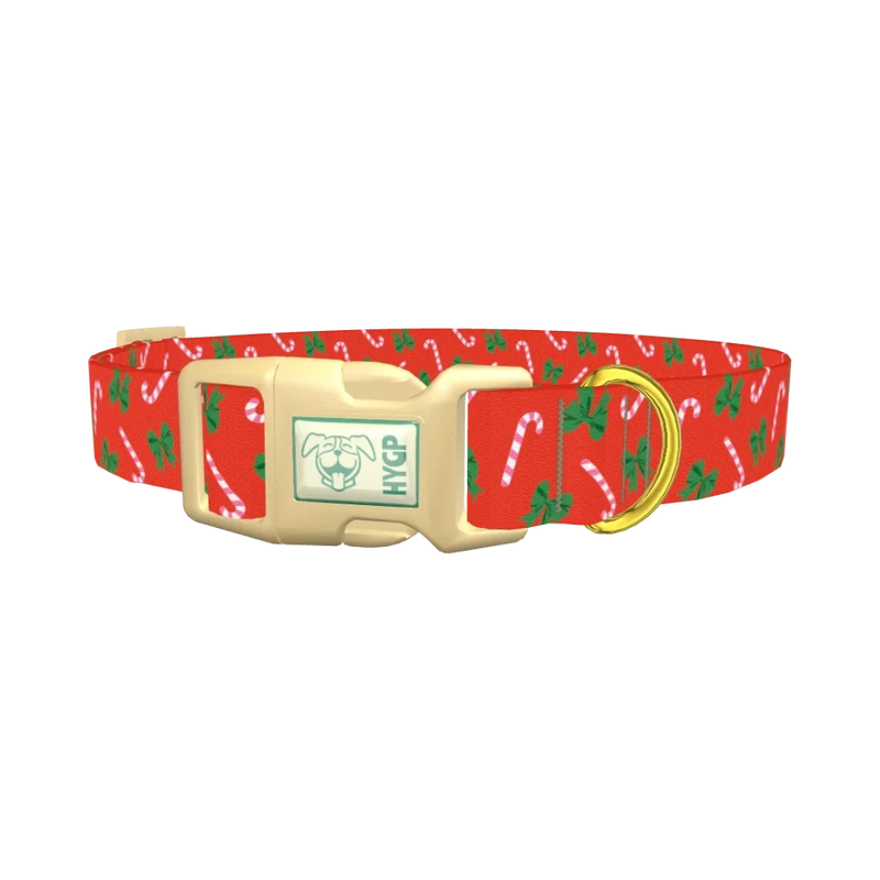 Festive Bows and Candy Canes Dog Collar - plastic gold