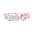 Christmas Berries Dog Collar - plastic gold