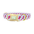 Pink Hydrant Dog Collar - plastic gold