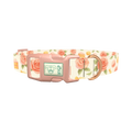 Floral Sweets Dog Collar - plastic rose gold