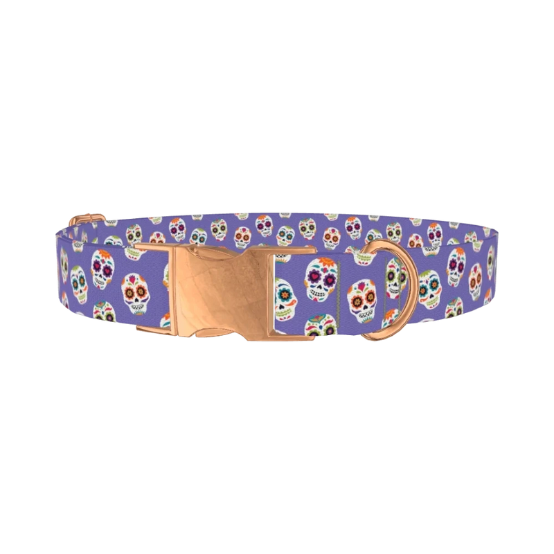 Calavera Skull Dog Collar - metal rose gold