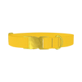 Golden Kiwi Color Dog Collar - metal gold