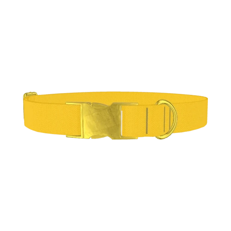 Golden Kiwi Color Dog Collar - metal gold