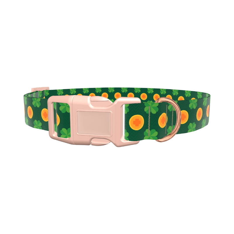 St. Patrick's Clover Coin Dog Collar - plastic gold