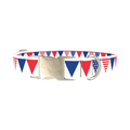 Patriotic Stars and Stripes Dog Collar - metal silver