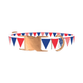 Patriotic Stars and Stripes Dog Collar - metal rose gold