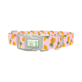 Tropical Pineapple Dog Collar - plastic silver