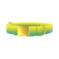 Gradient Dog Collar - metal gold