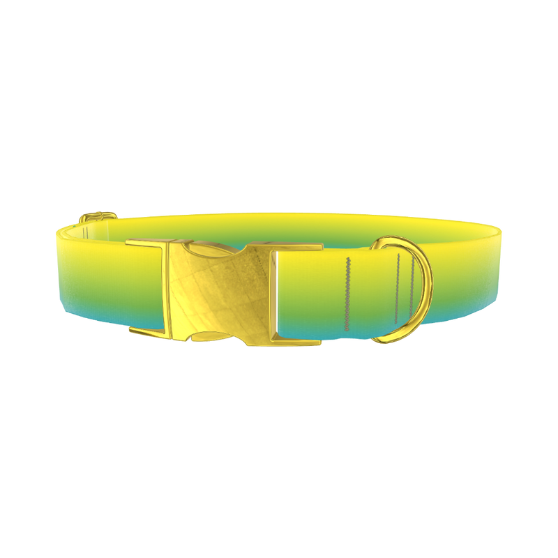 Gradient Dog Collar - metal gold
