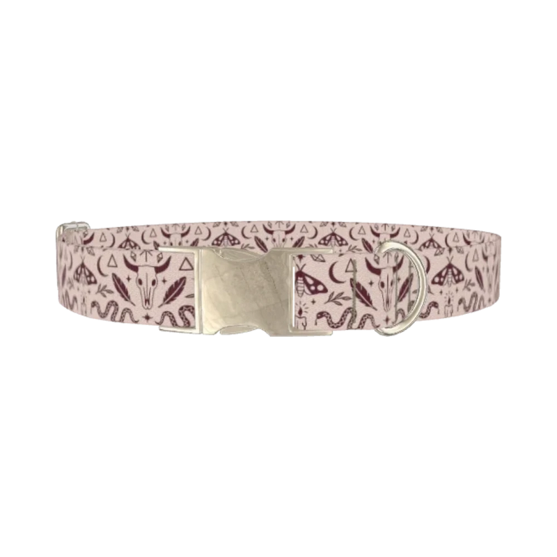Halloween Witchy Dog Collar - metal silver