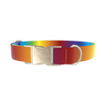 Rainbow Gradient Dog Collar - metal silver