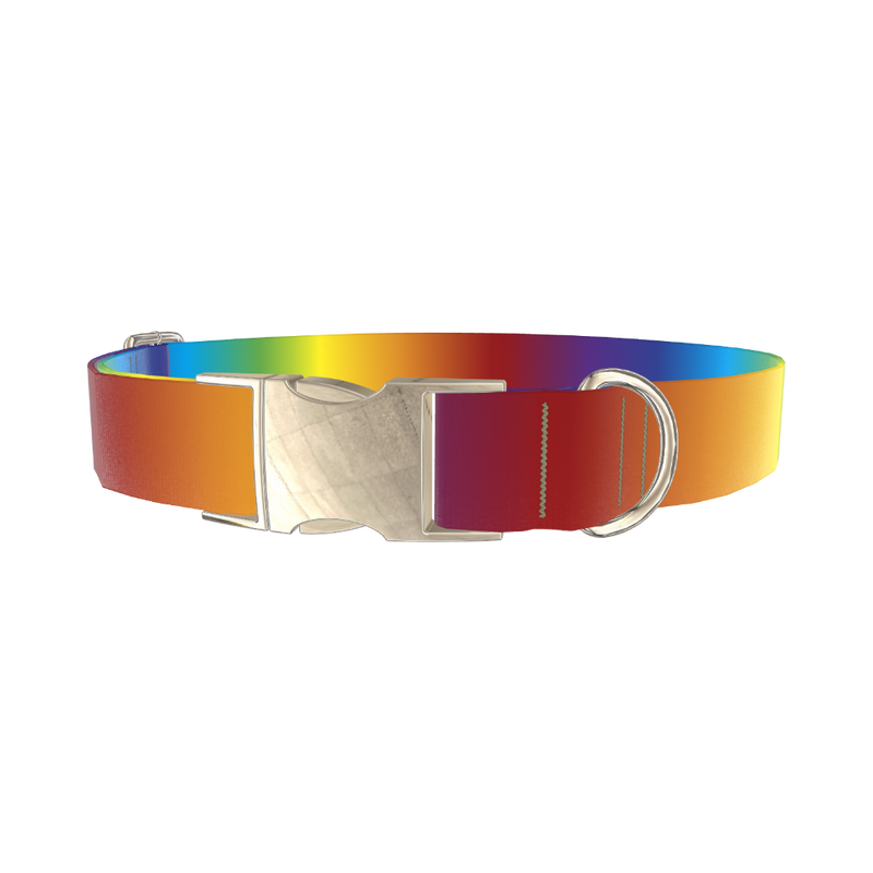 Rainbow Gradient Dog Collar - metal silver