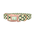 Floral Daisy Dog Collar - plastic rose gold