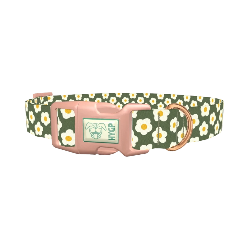 Floral Daisy Dog Collar - plastic rose gold