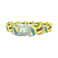 Colorful Flip Flop Dog Collar - plastic silver