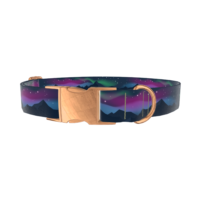 Northern Lights Dog Collar - metal rose gold