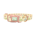 Colorful Bicycle Dog Collar - plastic rose gold