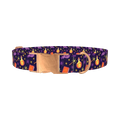 Halloween Witch Potion Dog Collar - metal rose gold