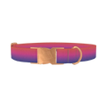 Gradient Pink Blue Dog Collar - metal rose gold