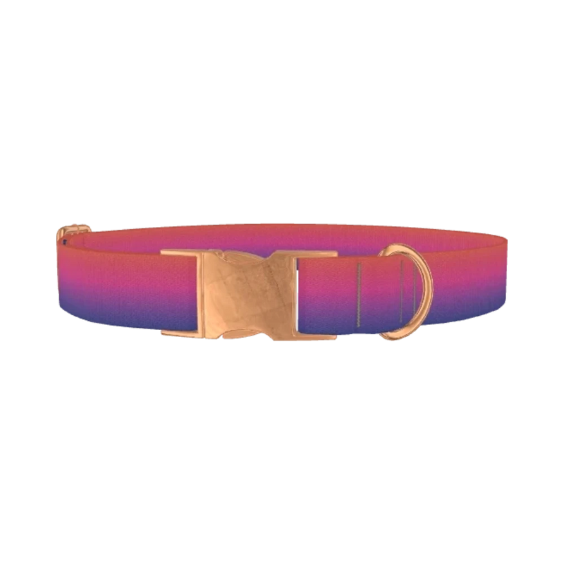 Gradient Pink Blue Dog Collar - metal rose gold