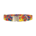Colorful Paint Splatter Dog Collar - metal silver