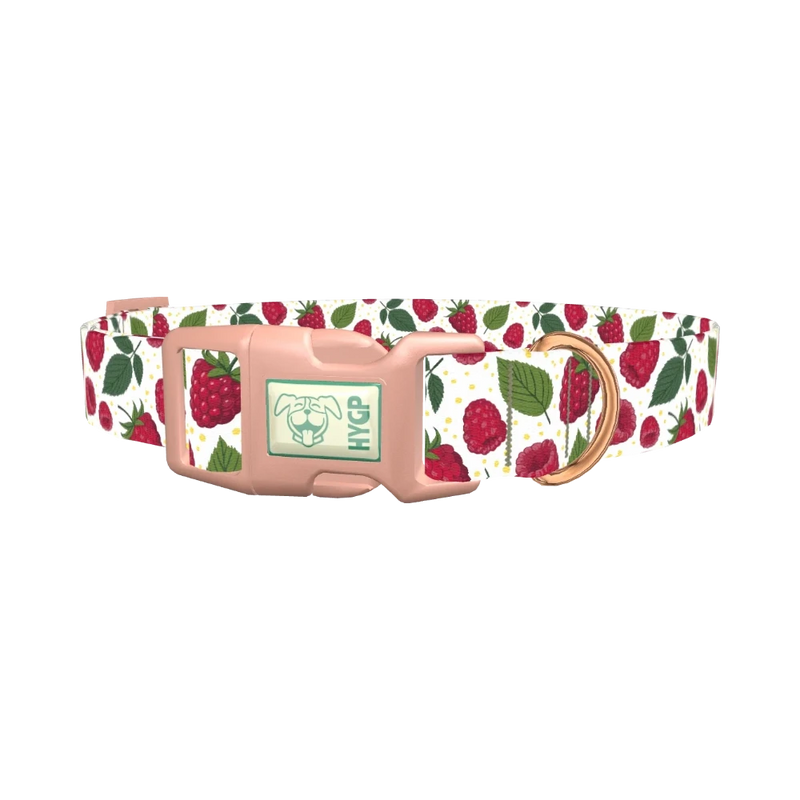 Raspberry Fruit Dog Collar - plastic rose gold