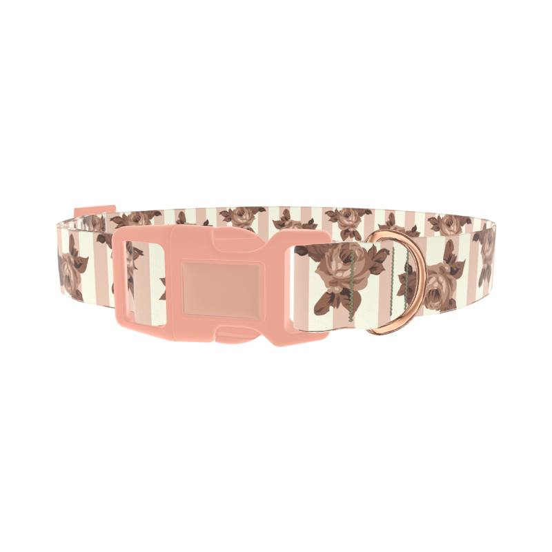 Floral Stripe Dog Collar - plastic rose gold