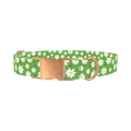 Floral Daisy Dog Collar - metal rose gold