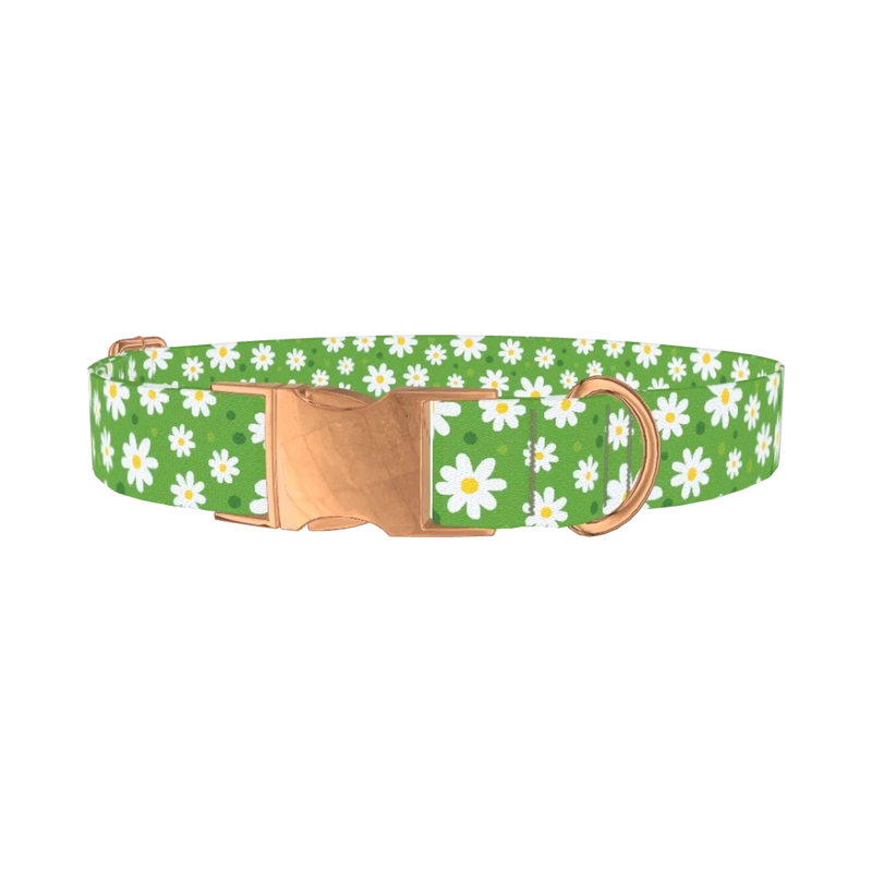 Floral Daisy Dog Collar - metal rose gold