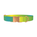 Gradient Color Dog Collar - metal rose gold