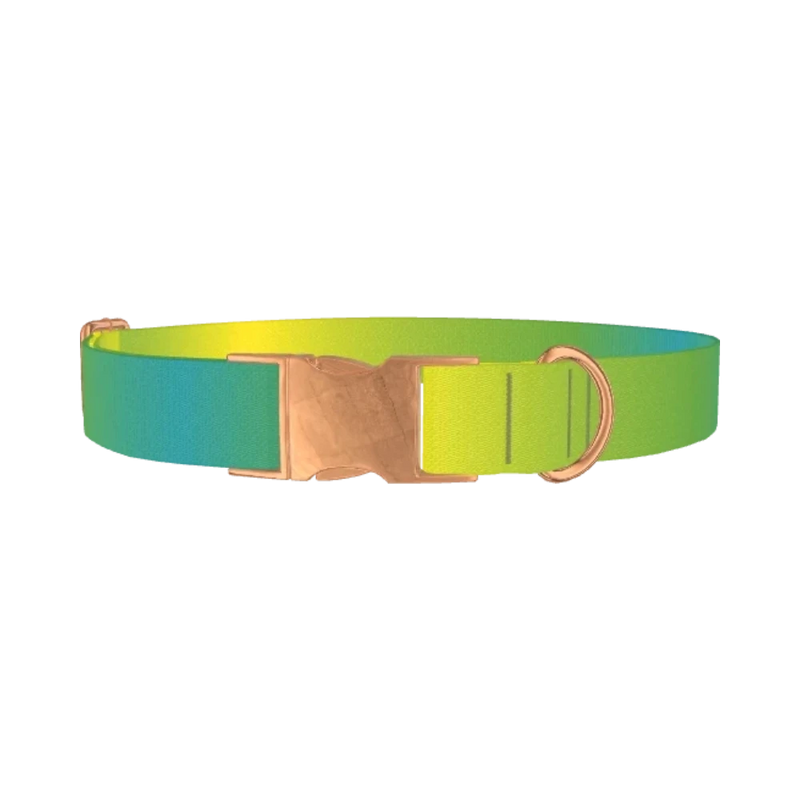 Gradient Color Dog Collar - metal rose gold