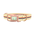 Colorful Hexagon Stripe Dog Collar - plastic rose gold