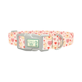 Valentine Hearts Dog Collar - plastic silver