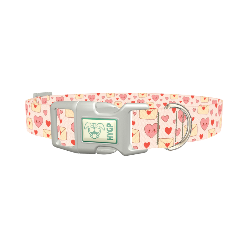 Valentine Hearts Dog Collar - plastic silver