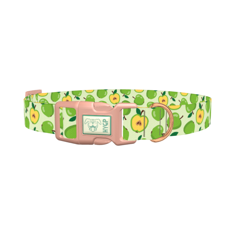 Green Apple Dog Collar - plastic rose gold