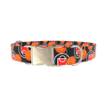 Basketball Court Dog Collar - metal gold