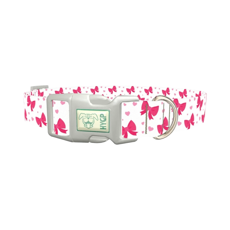 Valentine Heart Ribbon Dog Collar - plastic silver
