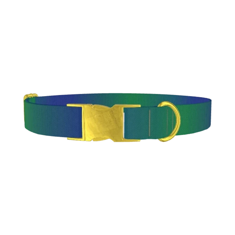 Gradient Blue Dog Collar - metal gold