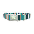 Bright Stripe Dog Collar - plastic silver