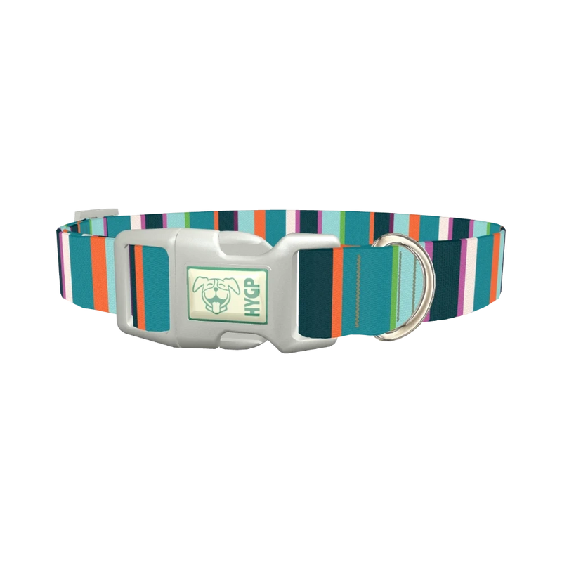 Bright Stripe Dog Collar - plastic silver