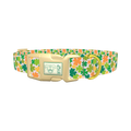 Multicolor Clover Dog Collar - plastic gold