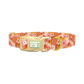 Retro Floral Burst Dog Collar - plastic gold