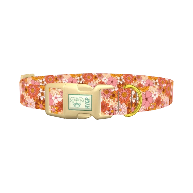 Retro Floral Burst Dog Collar - plastic gold