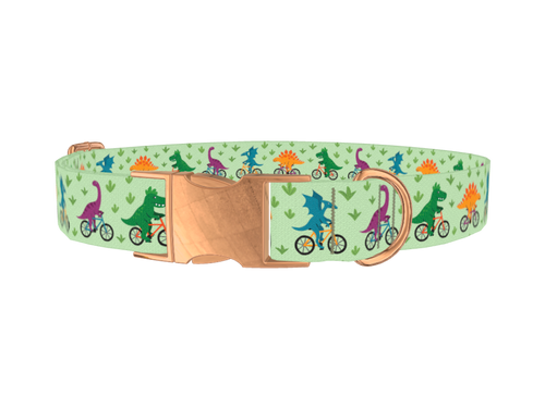 Dinosaur Cycling Dog Collar
