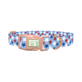 Blue Patriotic Stars Dog Collar - plastic rose gold