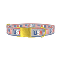 Patriotic USA Flag Dog Collar - metal silver